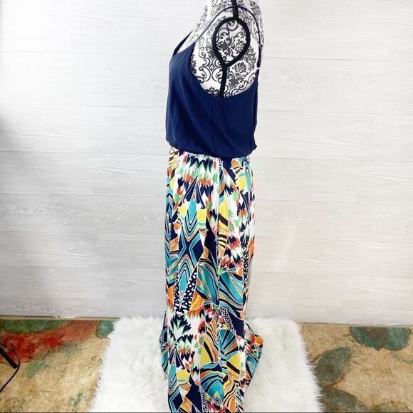 Fracescas Blue Rain Malabar Printed Maxi Dress - Picture 8 of 10